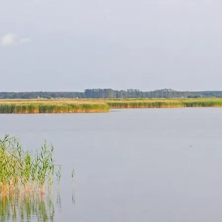 Hausboot In Am Barther Bodden *